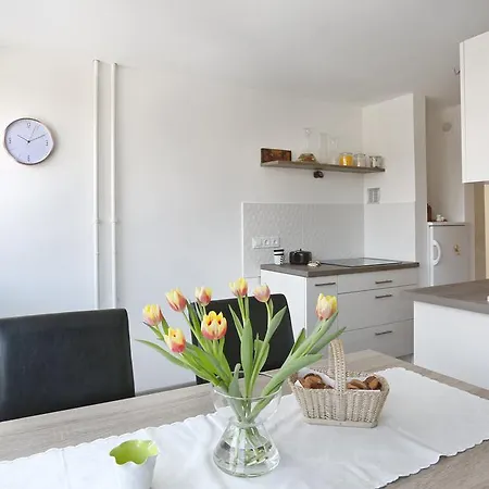 Castleview 公寓 卢布尔雅那